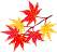 maple leaves